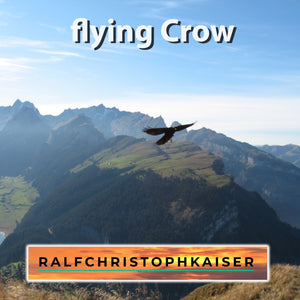 flying crow complete fan package for producers and musicians with midi, sheet music and wav and settings and tricks