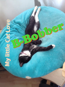 nuevo equipo, nueva suerte ahora con:B-Bobber y la canción:"My little Cat Love"como un archivo WAV sin pérdida de 32 bits y 48 kHz